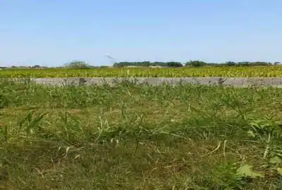 زمین چسبیده به بافت روستای کیابسر ۲۰۰ متر