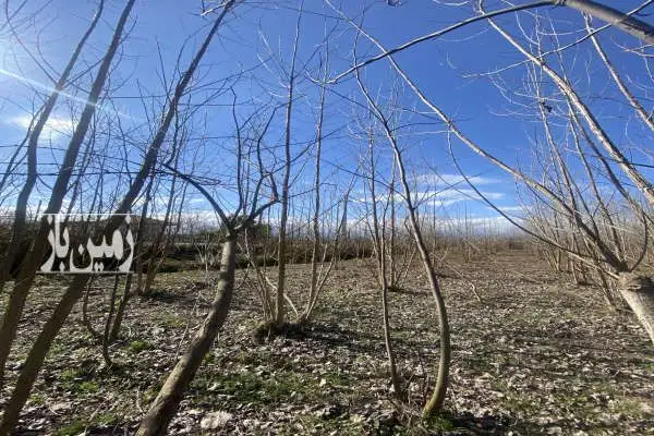 فروش زمین مسکونی صومعه سرادضیابر روستای سارمه ۲۵۰۰ متر - تصویر 1
