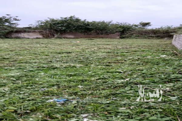 زمین متراژ ۳۸۴ اتوبان رشت فومن کلاشم بالا-3