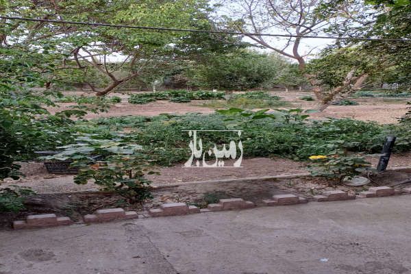 باغ میوه واقع در گازرسنگ نظرآباد ۱۵۰۰ متر-4