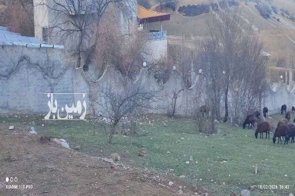 زمین ۲۰۰ متری مرزن آباد دهستان بیرون بشم روستای بهکله-1