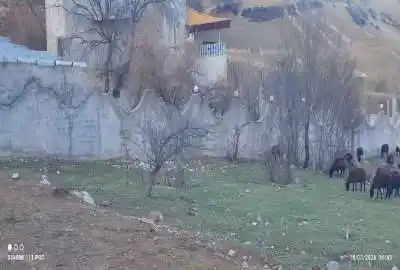 زمین ۲۰۰ متری مرزن آباد دهستان بیرون بشم روستای بهکله