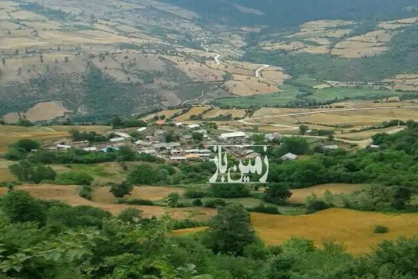 زمین کشاورزی در نکا روستایی چمازده ۲۵۳۰ متر - تصویر 4