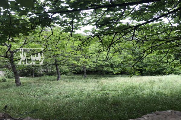 زمین منطقه خطیرکوه جایی عالی ۱۱۹ متر-4