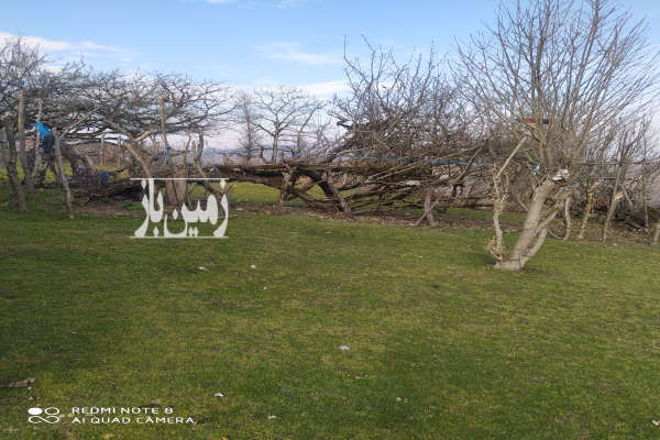 زمین مسکونی رضوانشهر روستای وزین ۷۰۰ متر-1