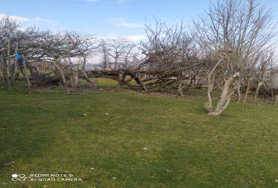 زمین مسکونی رضوانشهر روستای وزین ۷۰۰ متر