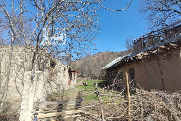 فروش زمین ۱۰۰۰ متر بره سر روستای پشتکلاه-3