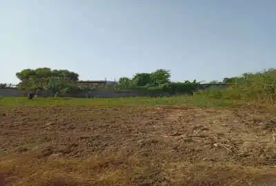 زمین ۴۲۵ متری در جاده فرح آباد روستای قاجارخیل