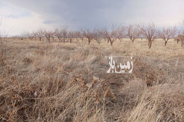 زمین کشاورزی زنجان روستای قره چریان ۱۰۰۰ متر-1