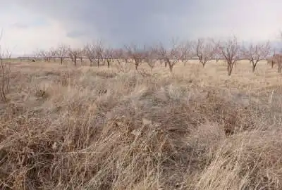 زمین کشاورزی زنجان روستای قره چریان ۱۰۰۰ متر