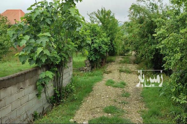 زمین شهرکی در شمال مازندران بابل ۲۰۰ متر-3