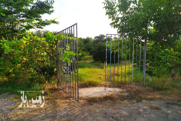 فروش زمین باغی با محیط آرام ۳۰۰۰ متر-1