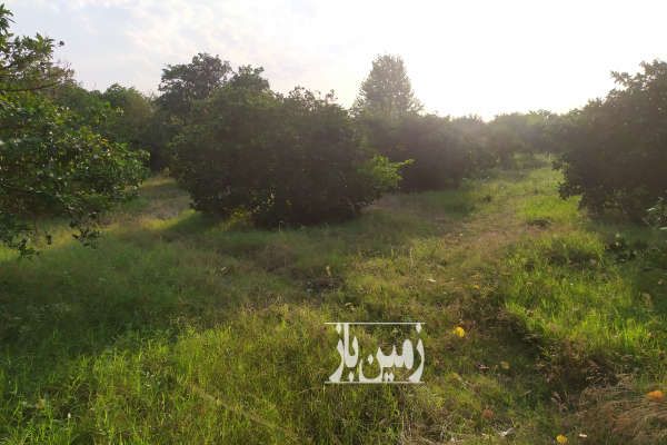 فروش زمین باغی با محیط آرام ۳۰۰۰ متر-2