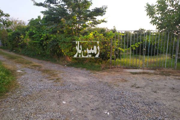 فروش زمین باغی با محیط آرام ۳۰۰۰ متر-4