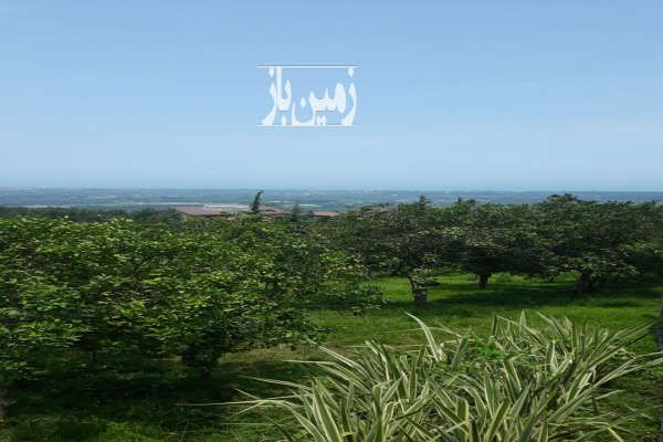 فروش زمین نشتارود خشکه داران روستای کوهسر ۱۰۰۰ متر-2