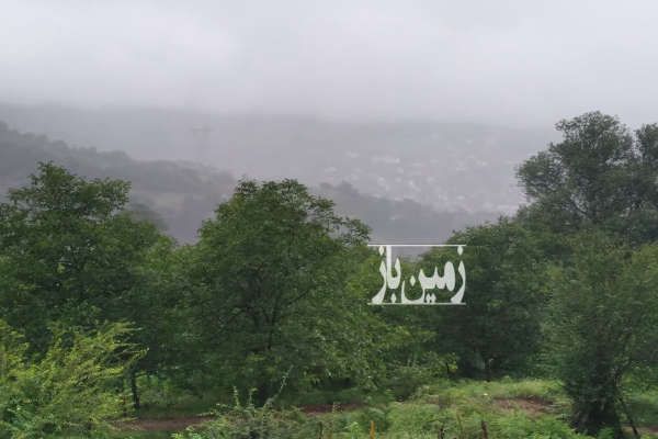 زمین دارای ویو جنگلی در مازندران چمستان لاویج ۵۰۰ متر-4