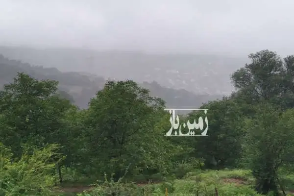 زمین دارای ویو جنگلی در مازندران چمستان لاویج ۵۰۰ متر - تصویر 4