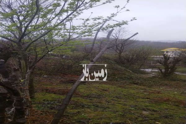 فروش زمین مسکونی روستای چهل گاچه سیاهکل ۳۰۰ متر-1