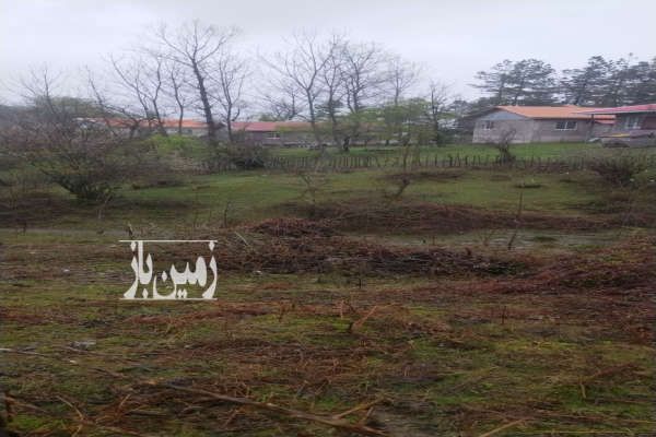 فروش زمین مسکونی روستای چهل گاچه سیاهکل ۳۰۰ متر-3