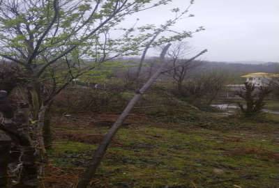 فروش زمین مسکونی روستای چهل گاچه سیاهکل ۳۰۰ متر