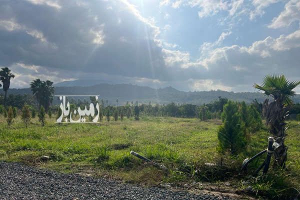 زمین فروشی شهرک پالم در نوشهر ۳۰۰ متر-2