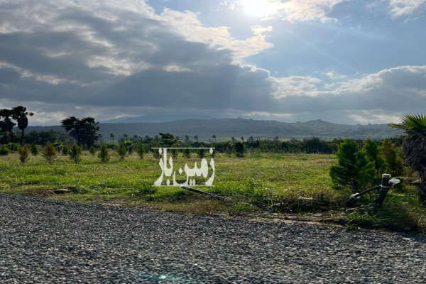 زمین فروشی شهرک پالم در نوشهر ۳۰۰ متر-3