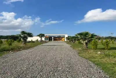 زمین فروشی شهرک پالم در نوشهر ۳۰۰ متر