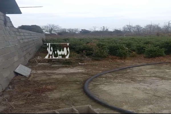 زمين در چابكسر توسكا محله ۱۰۰۰ متر-1