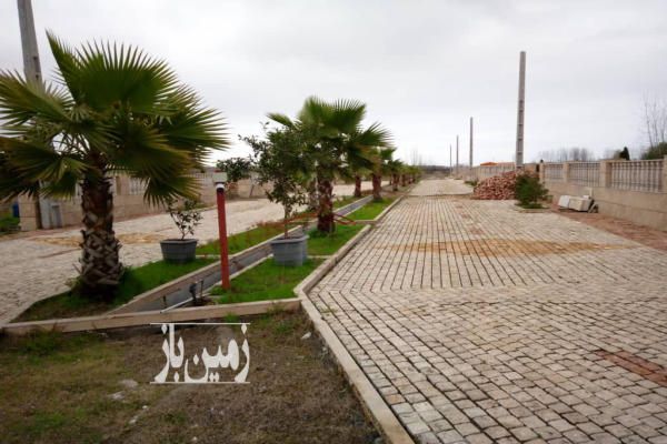 زمین ۳۵۰ متر مربع شهرک تیسا عباس آباد پسنده-2