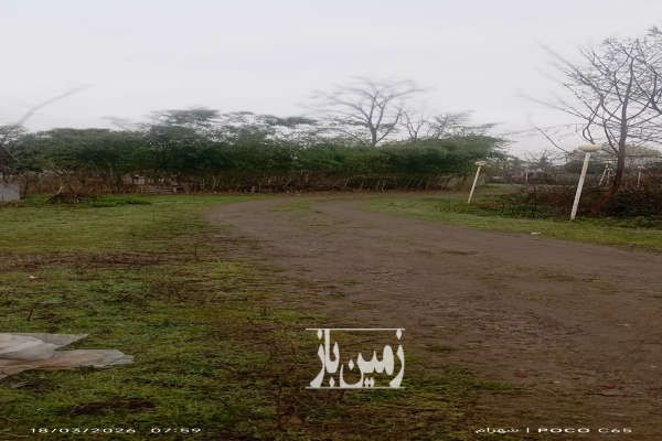 پانصد متر زمین باغات گوراب زرمیخ روستای پشت مخ-3