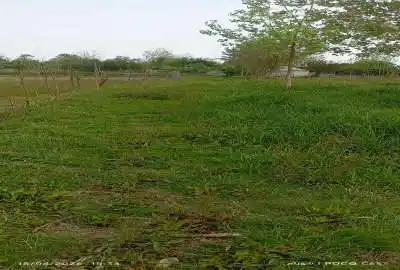 پانصد متر زمین باغات گوراب زرمیخ روستای پشت مخ