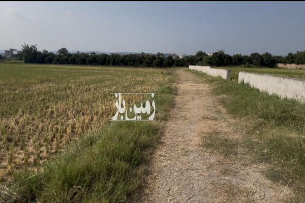 زمین مسکونی ۲۲۰ متر بابل بندپی غربی شهر خشرودپی-2