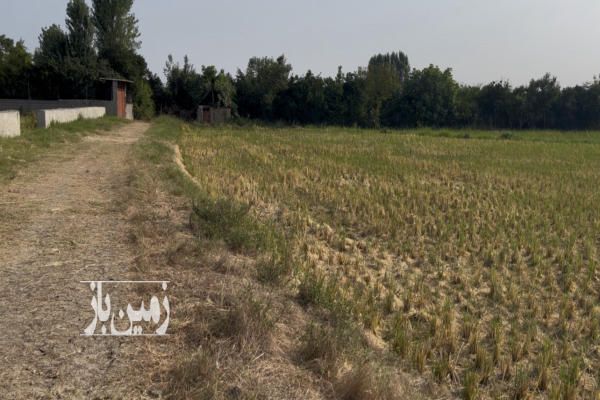 زمین مسکونی ۲۲۰ متر بابل بندپی غربی شهر خشرودپی-4