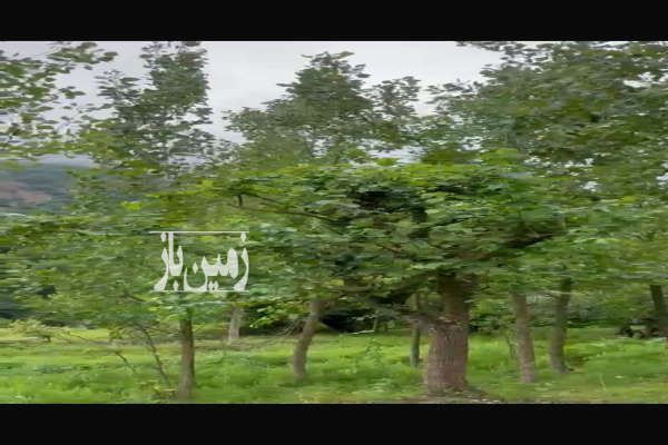 فروش یک قطعه زمین در تالش روستای کسمه جان ۱۰۵۰ متر-1
