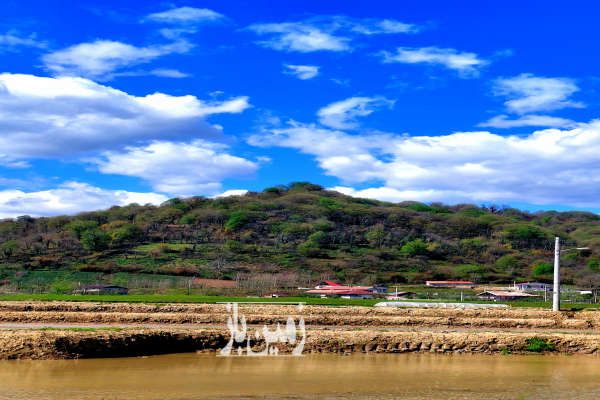 کاربری مسکونی سند دار قابل تفکیک محوطه و حیاط-1
