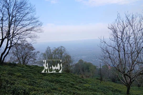 زمین تجاری خمام شهید بهشتی ۲۵۰ متر-1