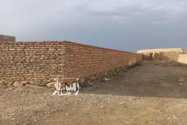 فروش فوری زمین ۱۰۰۰ متری در شهرستان طبس مسینا - تصویر 4