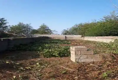 زمین مسکونی ساحلی با سند تک برگ ۲۷۰ متر