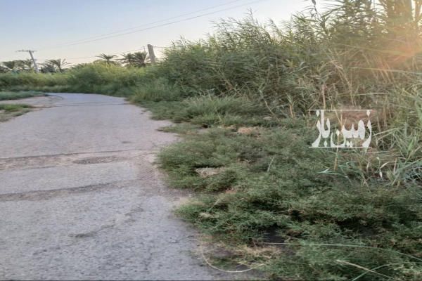 زمین خانه محرزی خرمشهر ۵۰۹۷ متر-1