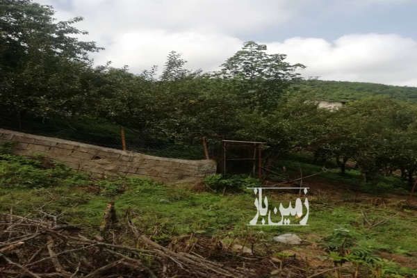 زمین در ساری روستای زیبا خلرد ۱۶۰۰ متر-3