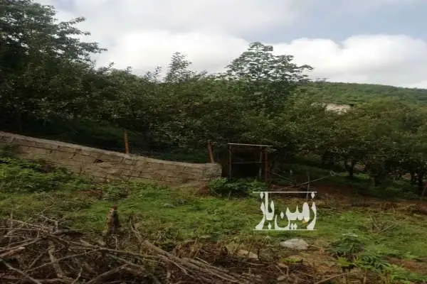 زمین در ساری روستای زیبا خلرد ۱۶۰۰ متر - تصویر 3