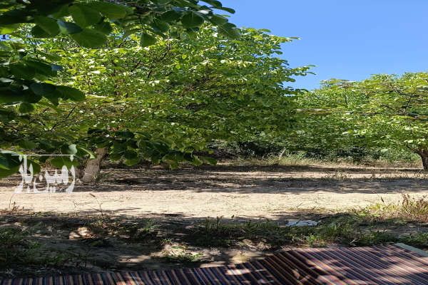 زمین کشاورزی در فریدونشهر بلوار بسیج وحدت آباد ۱۰۰۰ متر-2