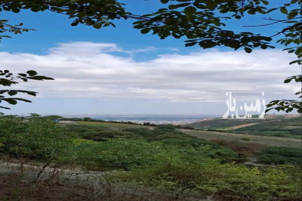 زمین باغی مازندران بهشهر رستم کلا ۲۷۵۰ متر-2