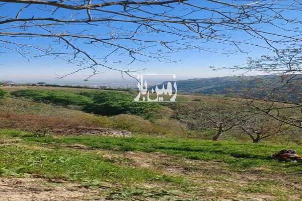 زمین باغی مازندران بهشهر رستم کلا ۲۷۵۰ متر-4