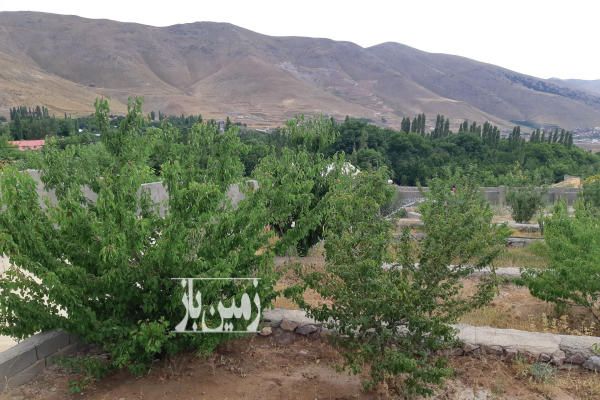 زمین باغی ۱۱۰۰ متر بر ۲۰ متری بدون مشرف دو کله-2