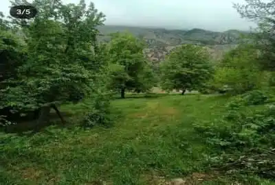 باغ گردو گیلاس ۱۲۰۰۰ متر زمین کجور خورشید آباد