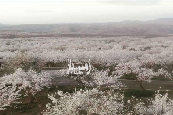 باغ ۳۶۰۰ متری حاشیه زاینده رود روستاهای مارکده و قوچان-4