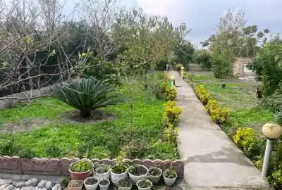 زمین ۶۰۰ متری جاده بندارخیل روستای آخورسر