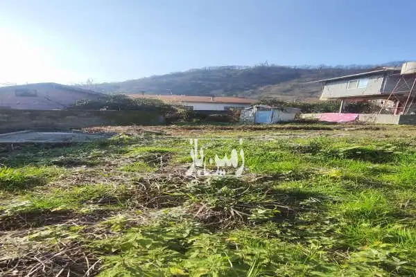 فروش زمین جواز مسکونی ۵۹۳ متر رامسر - تصویر 2