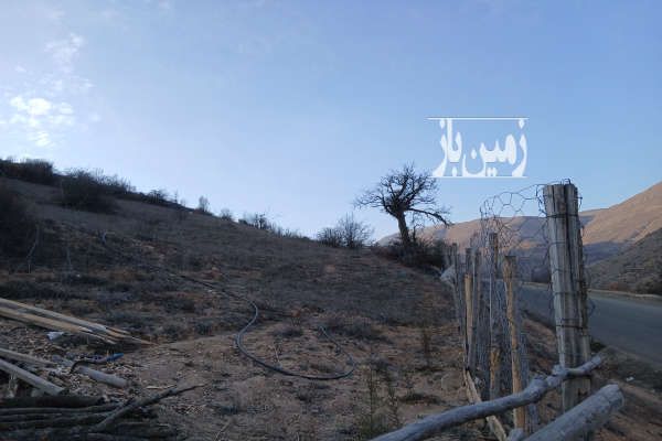 قطعه زمین کشاورزی ۲۰۰۰ متر املش روستای امام-3